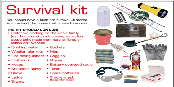 survival kit image